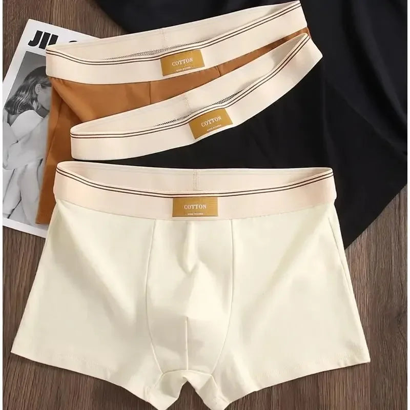 3Pcs Comfortable Breathable Cotton Underwear