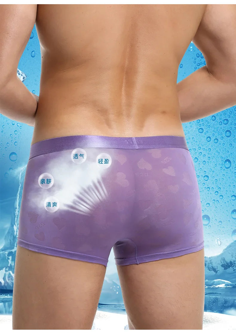 Transparent Thin Quick Dry Slim Fit Low Waist Underwear