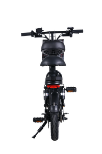 AiliFe 500W Foldable 20 MPH Electric Bike