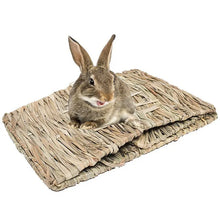 Foldable Woven Small Animal Home