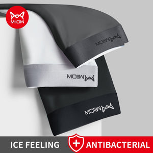 Antibacterial 3Pcs Soft Boxers