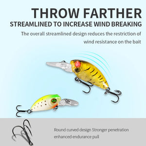 Bearking  Minnow Popper