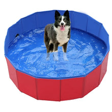 Foldable Portable Hard Plastic Dog Pool