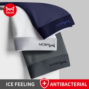 Antibacterial 3Pcs Soft Boxers