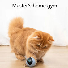 Automatic Smart Interactive Cat Toy