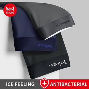 Antibacterial 3Pcs Soft Boxers