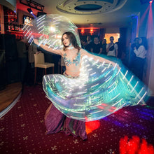 LED Fairy Wings Colorful Butterfly Belly Dancing Costume