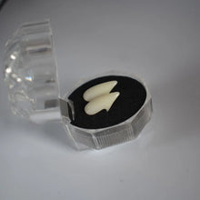 Vampire Teeth Fangs Dentures Props