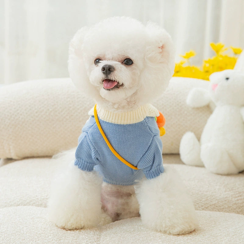 Cute Carrot Satchel Two Feet Pet Clothes