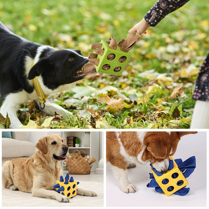 Doglemi Is Alone to Relieve Boredom Smell and Hide Food