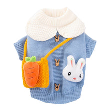 Cute Carrot Satchel Two Feet Pet Clothes