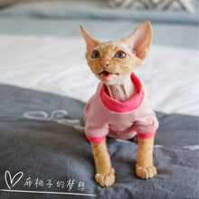 Gingerain Conis Organic Cotton Hairless Cat