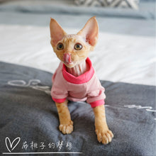 Gingerain Conis Organic Cotton Hairless Cat