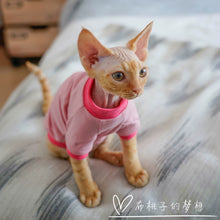 Gingerain Conis Organic Cotton Hairless Cat