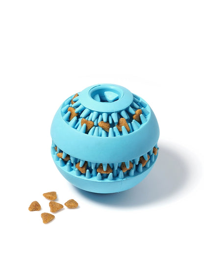 Tooth Cleaning Self-Hi Dog Toy