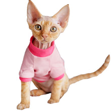 Gingerain Conis Organic Cotton Hairless Cat