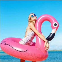 Rooxin Flamingo Inflatable Swimming Ring