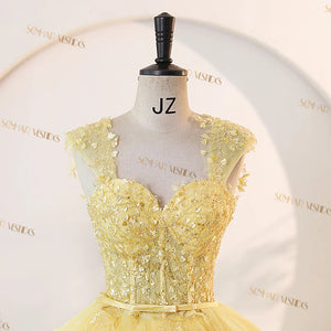 Long Train  Quinceanera Dress