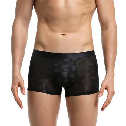Transparent Thin Quick Dry Slim Fit Low Waist Underwear