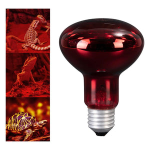 Pet Heat Light Bulb