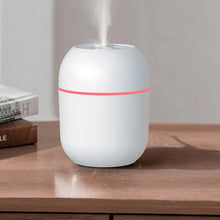 Air Humidifier Mister With Colorful Night Light