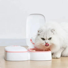 Automatic Feeding Bowl with Timer