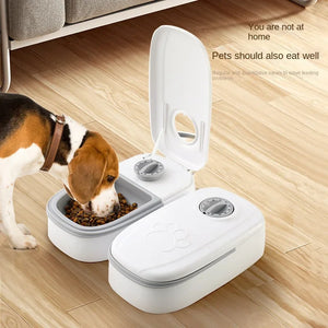 Automatic Feeding Bowl with Timer