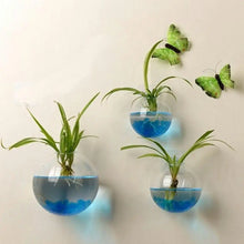 Wall-Hanging Acrylic Plexiglass Fish Bowl Aquarium
