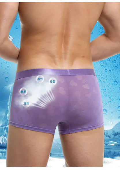 Transparent Thin Quick Dry Slim Fit Low Waist Underwear