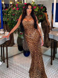 Leopard Print V-Neck Long Dress