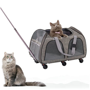 6-Wheel Pet Friendly Pet Carrier Stroller