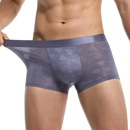 Transparent Thin Quick Dry Slim Fit Low Waist Underwear