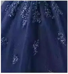 Long Train  Quinceanera Dress