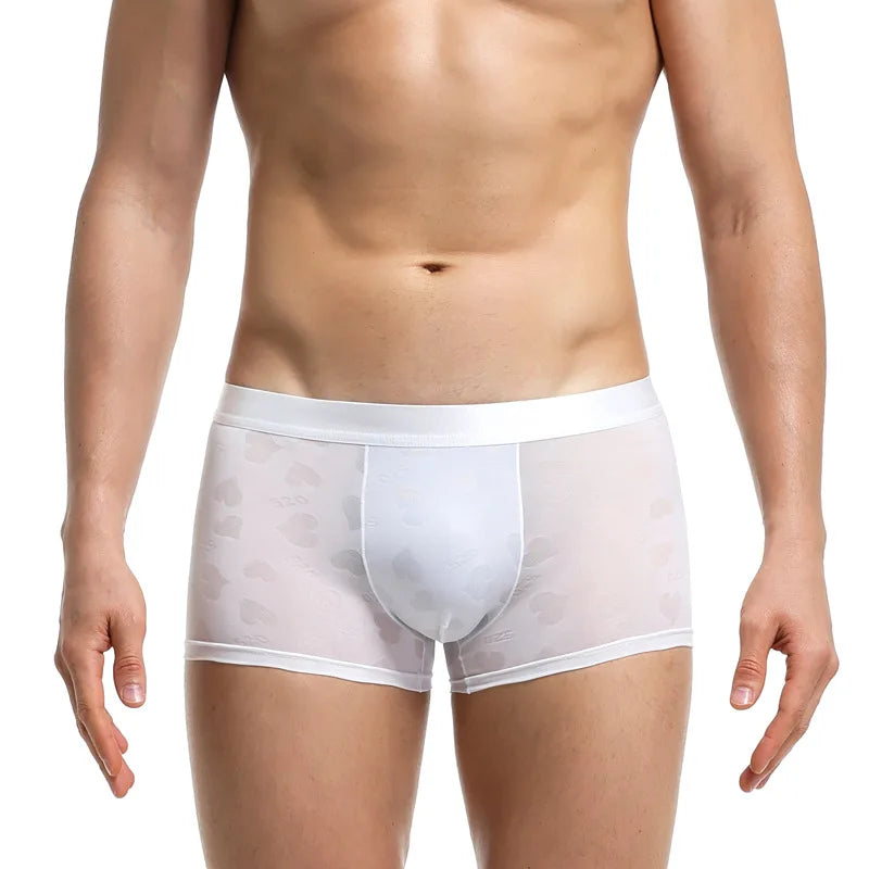 Transparent Thin Quick Dry Slim Fit Low Waist Underwear