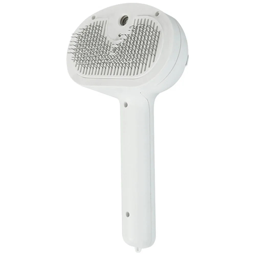 Cat Steam Hair Remover Brush Multi-Function