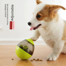 Dog Food Dropping Toy bBall