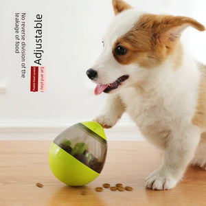Dog Food Dropping Toy bBall
