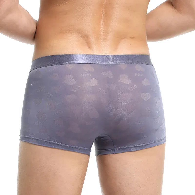 Transparent Thin Quick Dry Slim Fit Low Waist Underwear