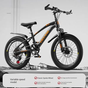 Variable Speed Ultra-light Mountain Bikes