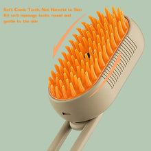 Steamy Electric Dog Spray Brush