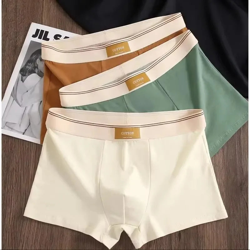 3Pcs Comfortable Breathable Cotton Underwear