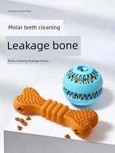 Tooth Cleaning Self-Hi Dog Toy