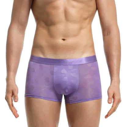 Transparent Thin Quick Dry Slim Fit Low Waist Underwear
