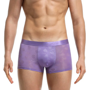 Transparent Thin Quick Dry Slim Fit Low Waist Underwear