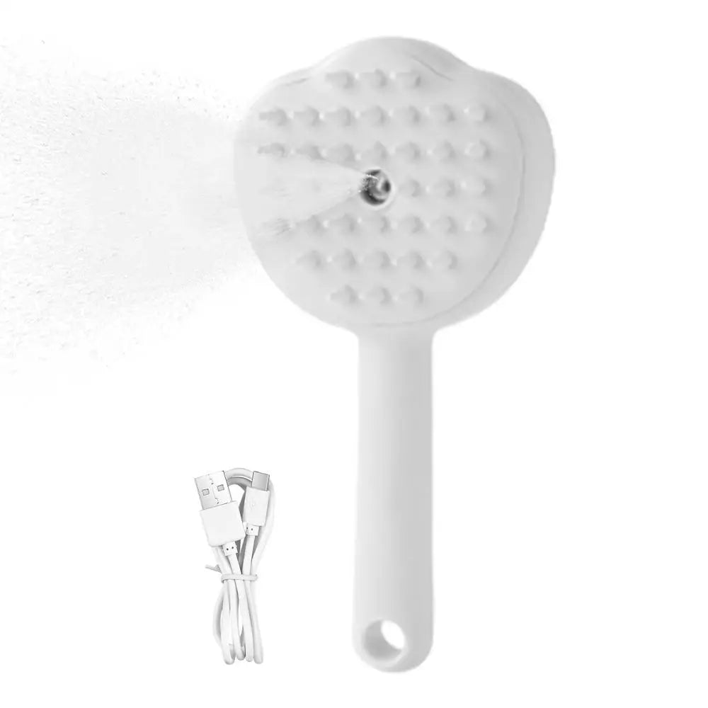 Steamy Electric Cat Brush With Steam Spray For Massage