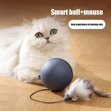 Kimpets Cat Moving Teaser Ball Fun Toy