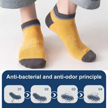 10 Pairs Thin Breathable Low Top Sport Socks