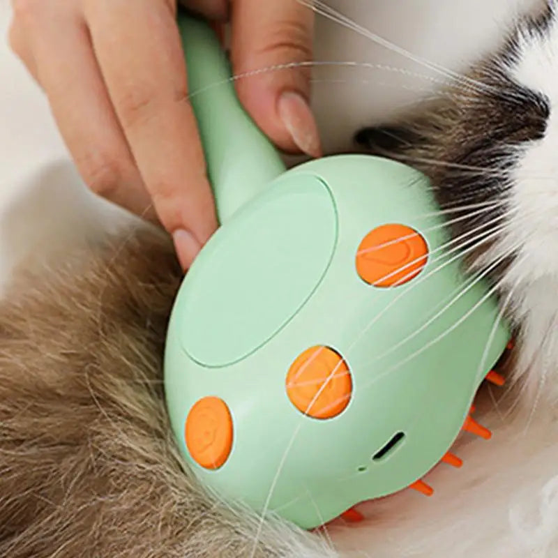 Steamy Electric Cat Brush With Steam Spray For Massage