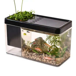 Mini Fish Breeding Incubator Tank