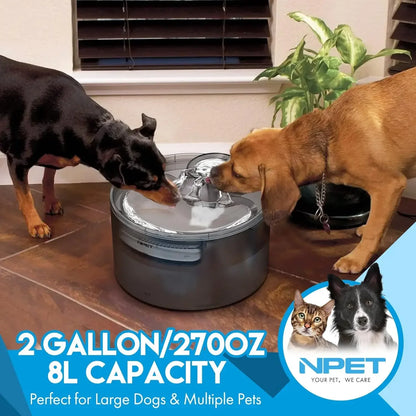 NPET Fountain 2 Gallon/270oz/8L Large Automatic Pet Water Dispenser with Splatter Guard
